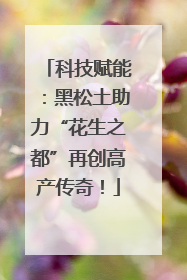 科技赋能：黑松土助力“花生之都”再创高产传奇！